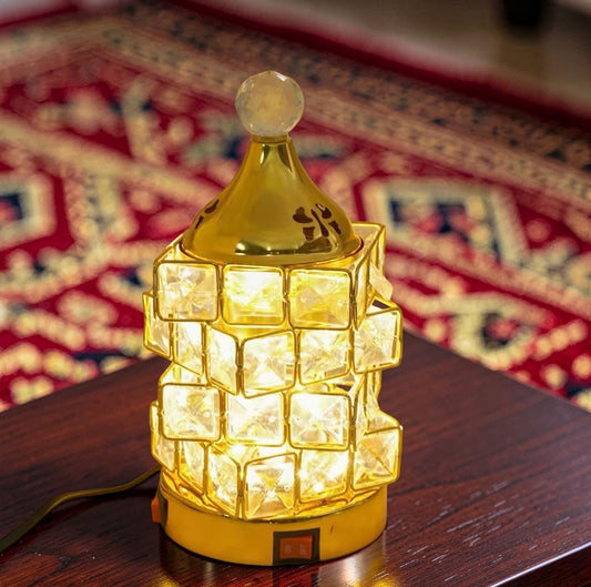 Premium Electric Burner With Light